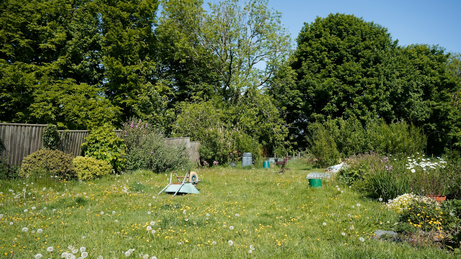 Réalisation taupe-moi là