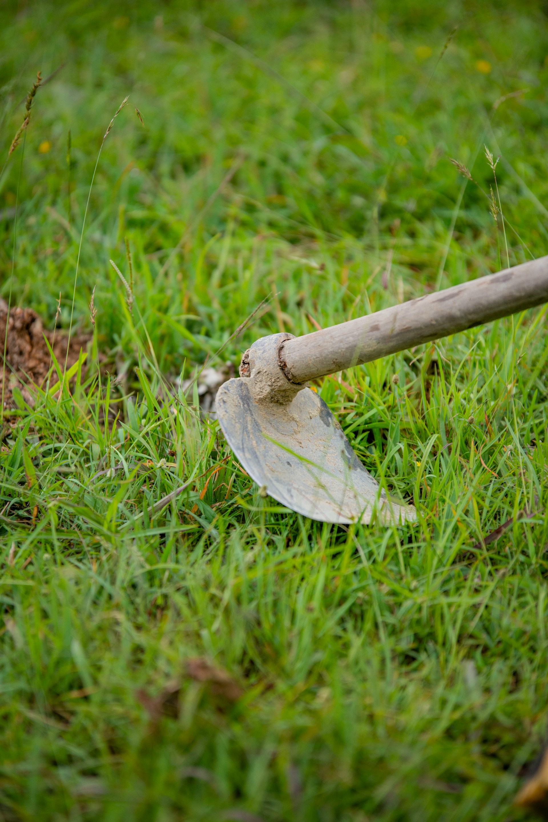 Réalisation taupe-moi là